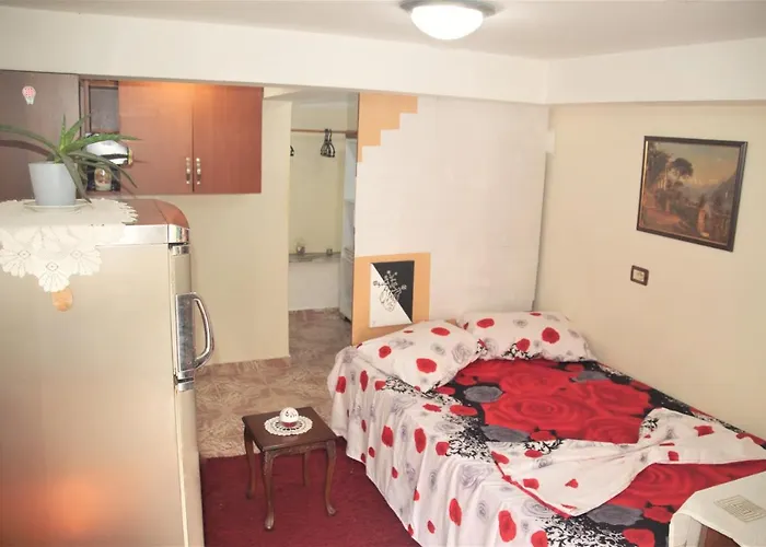 Tirana's Stay! * Тирана