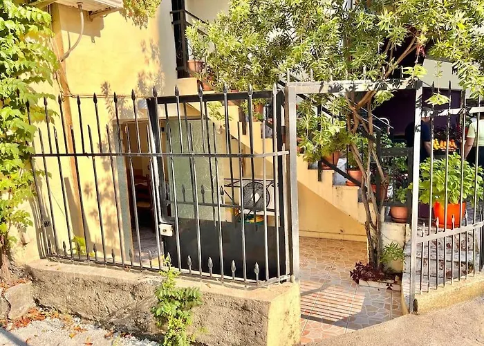 Tirana's Stay! * ティラナ